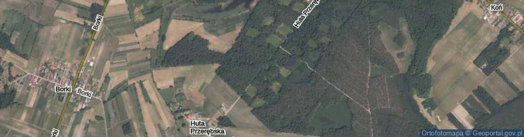 Zdjęcie satelitarne Huta Przerębska ul.